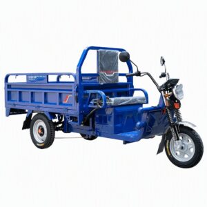 Factory Price 3 Wheel Electric Tricycle Cargo Bike 1000w Electric Cargo Tricycle
