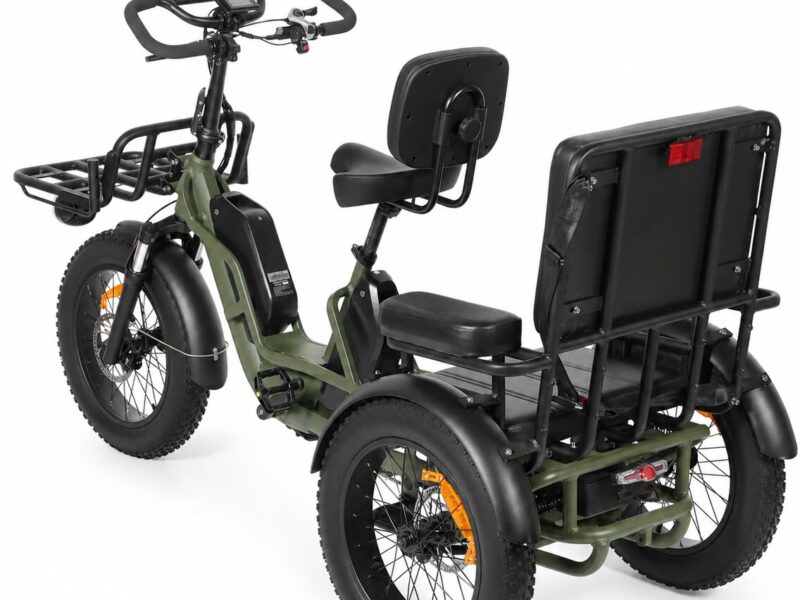 Factory Supply 3 Wheel Electric Tricycle VIPCOO R1 2 Person Electric Three Wheel Bicycle Tricycle with Good Price 48V 40AH