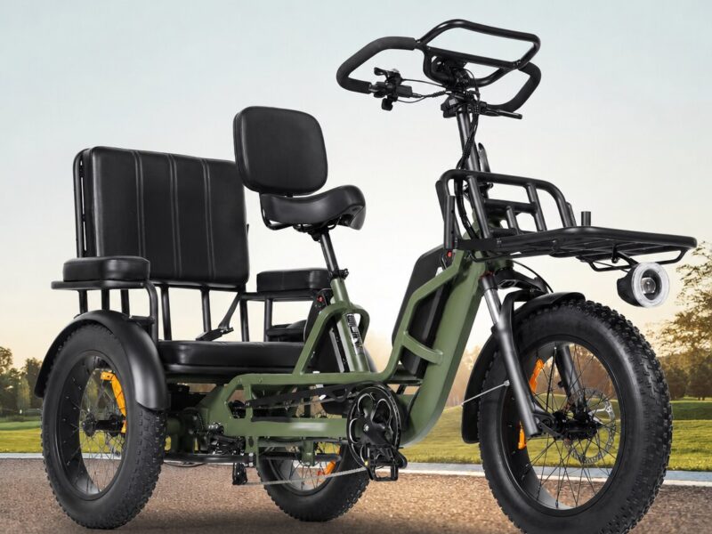 Factory Supply 3 Wheel Electric Tricycle VIPCOO R1 2 Person Electric Three Wheel Bicycle Tricycle with Good Price 48V 40AH