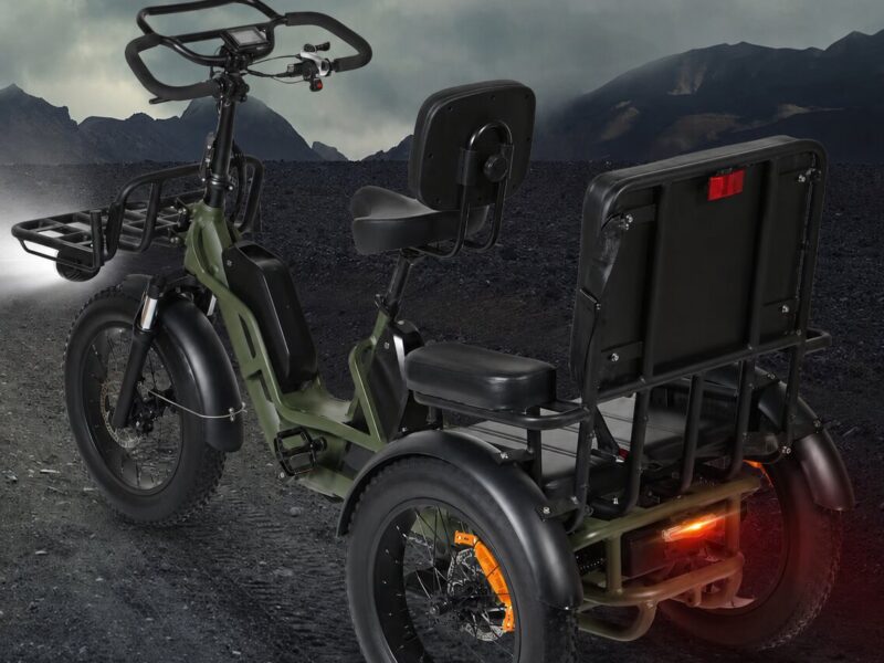 Factory Supply 3 Wheel Electric Tricycle VIPCOO R1 2 Person Electric Three Wheel Bicycle Tricycle with Good Price 48V 40AH