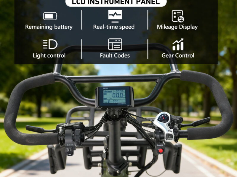 Factory Supply 3 Wheel Electric Tricycle VIPCOO R1 2 Person Electric Three Wheel Bicycle Tricycle with Good Price 48V 40AH