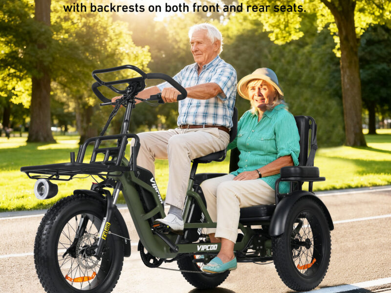 Factory Supply 3 Wheel Electric Tricycle VIPCOO R1 2 Person Electric Three Wheel Bicycle Tricycle with Good Price 48V 40AH