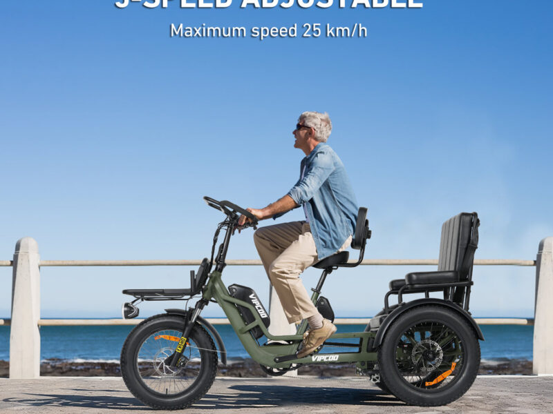 Factory Supply 3 Wheel Electric Tricycle VIPCOO R1 2 Person Electric Three Wheel Bicycle Tricycle with Good Price 48V 40AH
