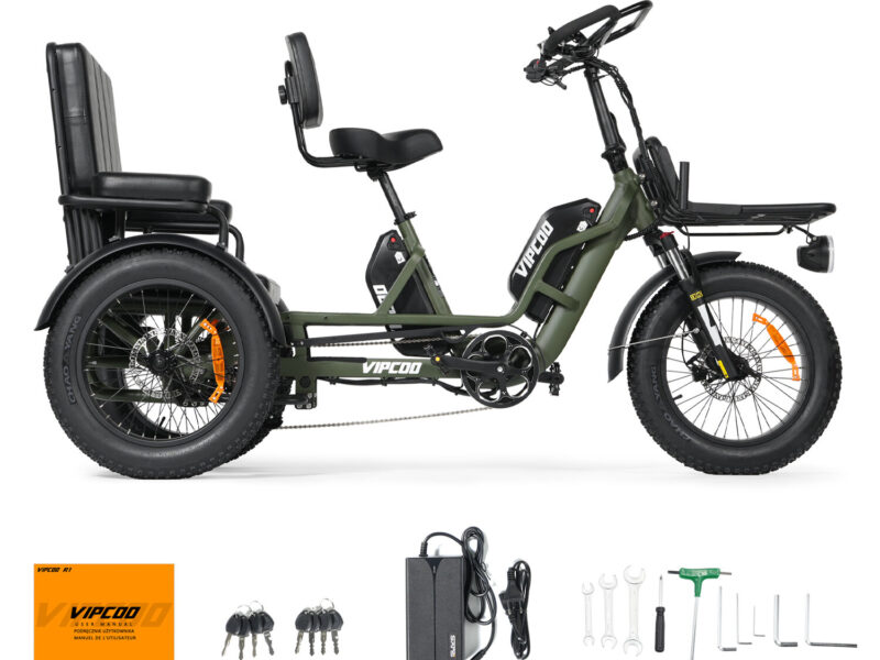 Factory Supply 3 Wheel Electric Tricycle VIPCOO R1 2 Person Electric Three Wheel Bicycle Tricycle with Good Price 48V 40AH