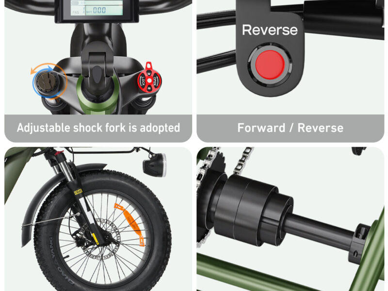 Factory Supply 3 Wheel Electric Tricycle VIPCOO R1 2 Person Electric Three Wheel Bicycle Tricycle with Good Price 48V 40AH
