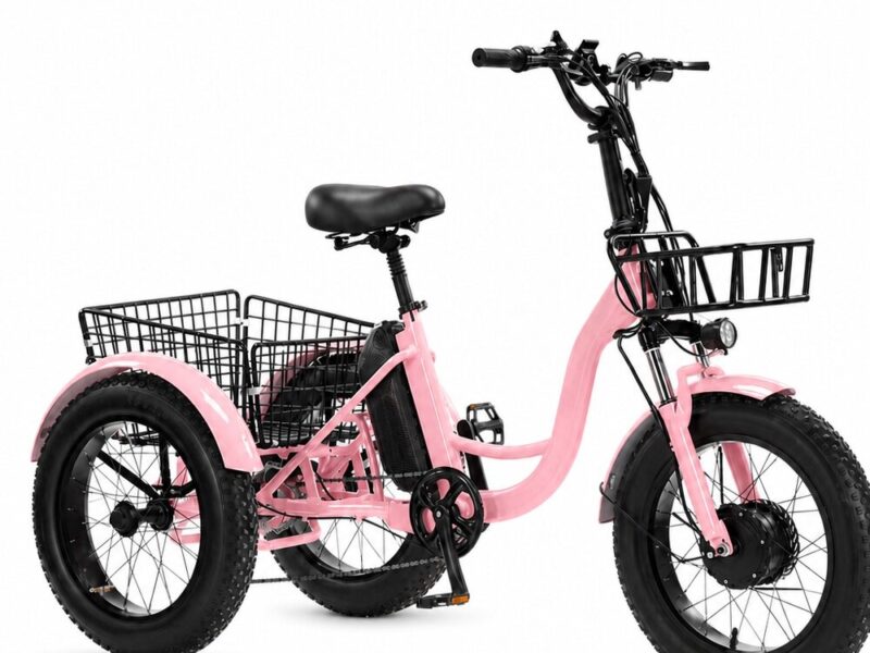 Fat Tire Electric Tricycle for Adults, 24-inch Pedal Assist 3 Wheel Bike, Lithium Powered E-trike for Snow and All-terrain