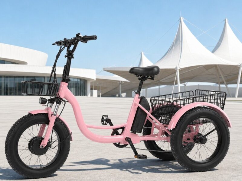 Fat Tire Electric Tricycle for Adults, 24-inch Pedal Assist 3 Wheel Bike, Lithium Powered E-trike for Snow and All-terrain