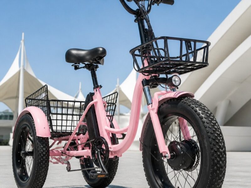 Fat Tire Electric Tricycle for Adults, 24-inch Pedal Assist 3 Wheel Bike, Lithium Powered E-trike for Snow and All-terrain