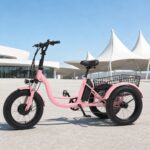 Fat Tire Electric Tricycle for Adults, 24-inch Pedal Assist 3 Wheel Bike, Lithium Powered E-trike for Snow and All-terrain - image 4