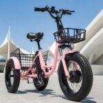 Fat Tire Electric Tricycle for Adults, 24-inch Pedal Assist 3 Wheel Bike, Lithium Powered E-trike for Snow and All-terrain - image 5