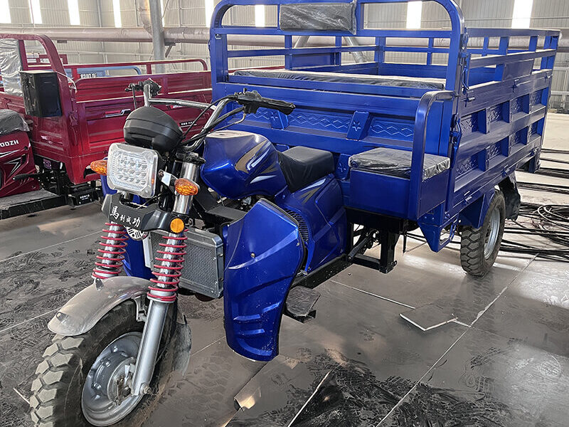 Gasoline Trike 250cc Commercial Cargo Tricycle Motorcycle with Large Loading Box