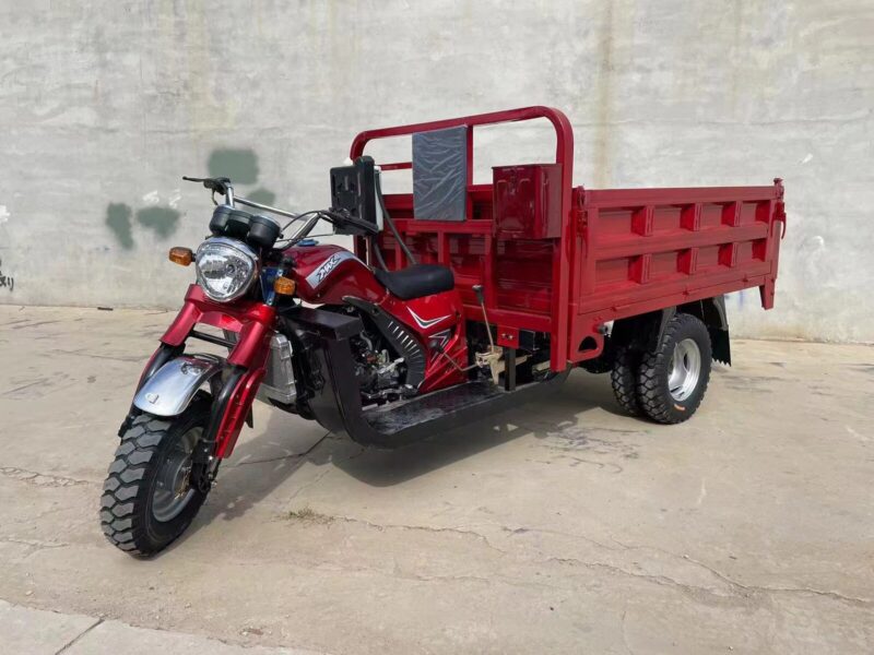 Heavy Duty 5-Wheel Cargo Motorized Tricycle Adults 250cc Cargo Tricycle 1000W Power Open Body Factory Certified 400kg Payload