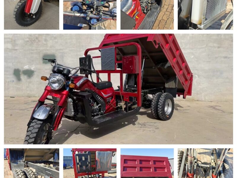 Heavy Duty 5-Wheel Cargo Motorized Tricycle Adults 250cc Cargo Tricycle 1000W Power Open Body Factory Certified 400kg Payload