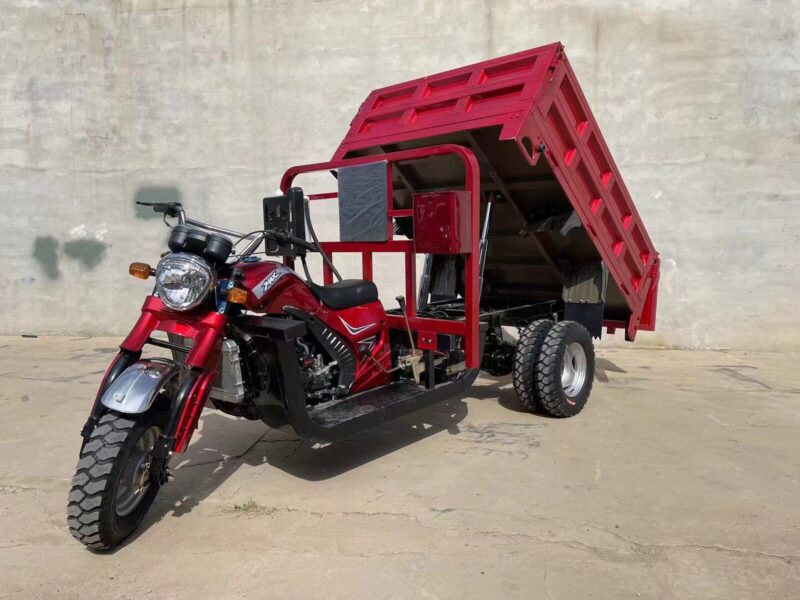 Heavy Duty 5-Wheel Cargo Motorized Tricycle Adults 250cc Cargo Tricycle 1000W Power Open Body Factory Certified 400kg Payload