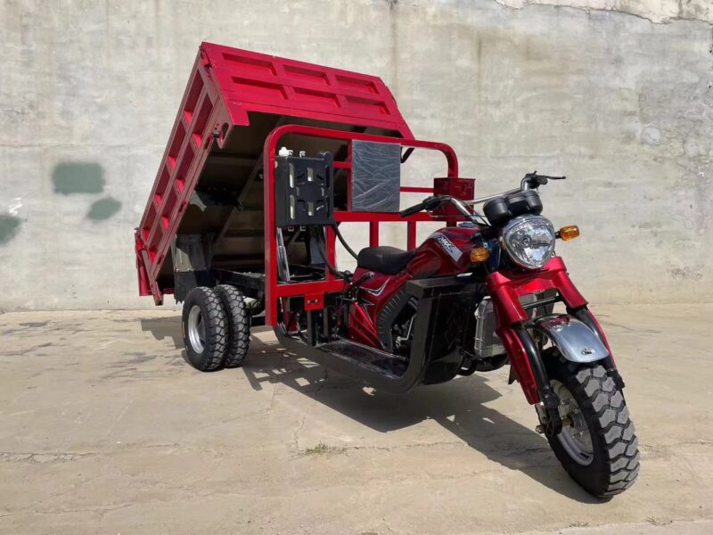 Heavy Duty 5-Wheel Cargo Motorized Tricycle Adults 250cc Cargo Tricycle 1000W Power Open Body Factory Certified 400kg Payload