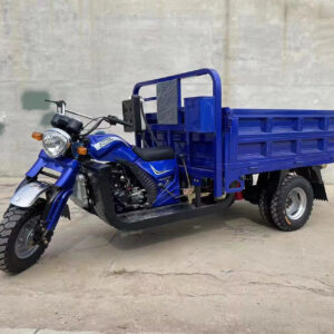 Heavy Duty 5-Wheel Cargo Motorized Tricycle Adults 250cc Cargo Tricycle 1000W Power Open Body Factory Certified 400kg Payload