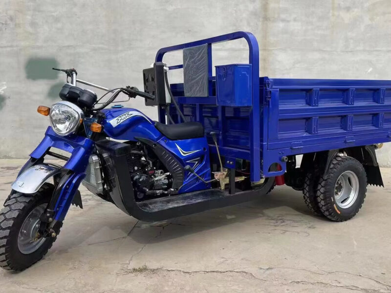 Heavy Duty 5-Wheel Cargo Motorized Tricycle Adults 250cc Cargo Tricycle 1000W Power Open Body Factory Certified 400kg Payload