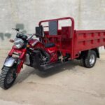 Heavy Duty 5-Wheel Cargo Motorized Tricycle Adults 250cc Cargo Tricycle 1000W Power Open Body Factory Certified 400kg Payload - image 5
