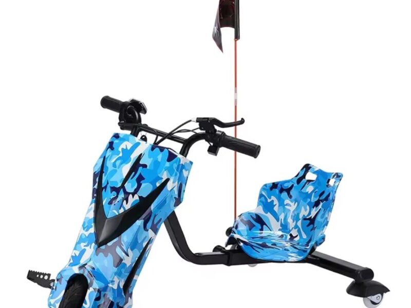 Heavy Duty Electric 3 Speed Lithium Battery 1000W High Speed Three Wheel Cargo Tricycle