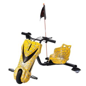 Heavy Duty Electric 3 Speed Lithium Battery 1000W High Speed Three Wheel Cargo Tricycle