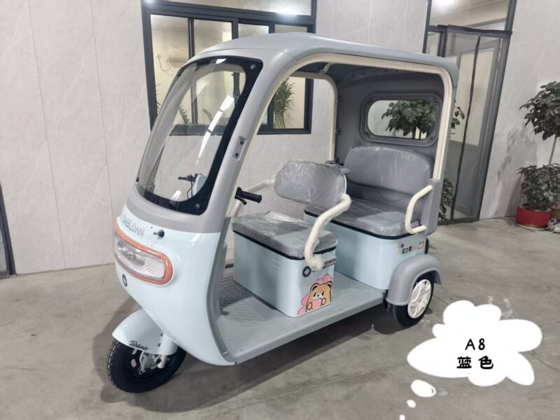 High Appearance Level 800W Electric Tricycle with Intelligent Equipment