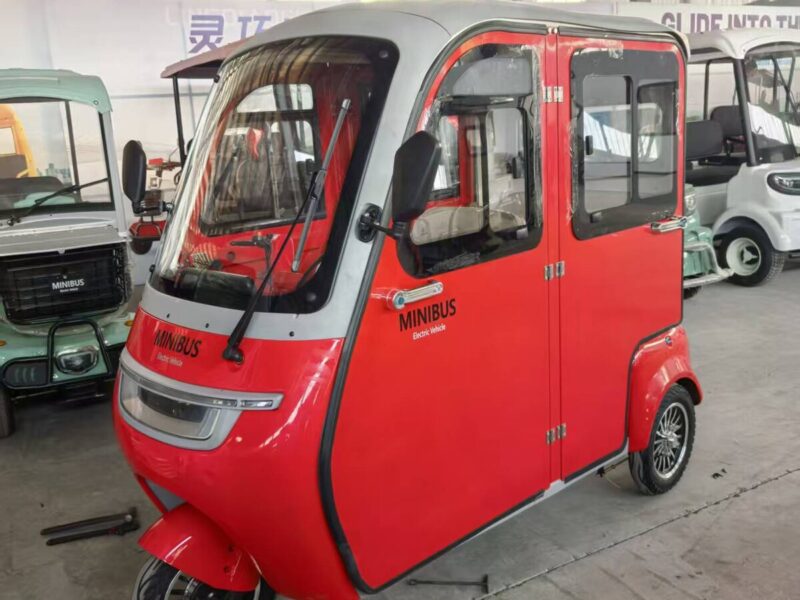 High Appearance Level 800W Electric Tricycle with Intelligent Equipment