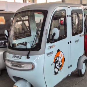 High Appearance Level 800W Electric Tricycle with Intelligent Equipment