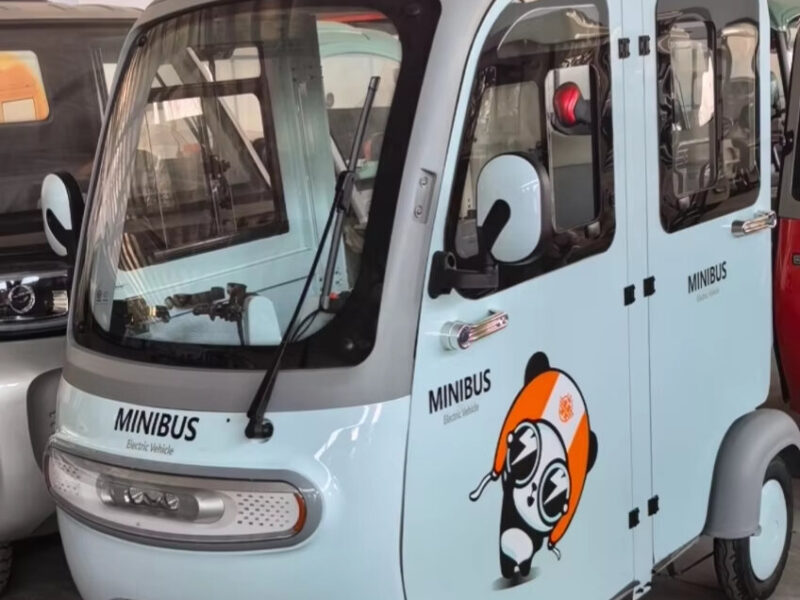 High Appearance Level 800W Electric Tricycle with Intelligent Equipment