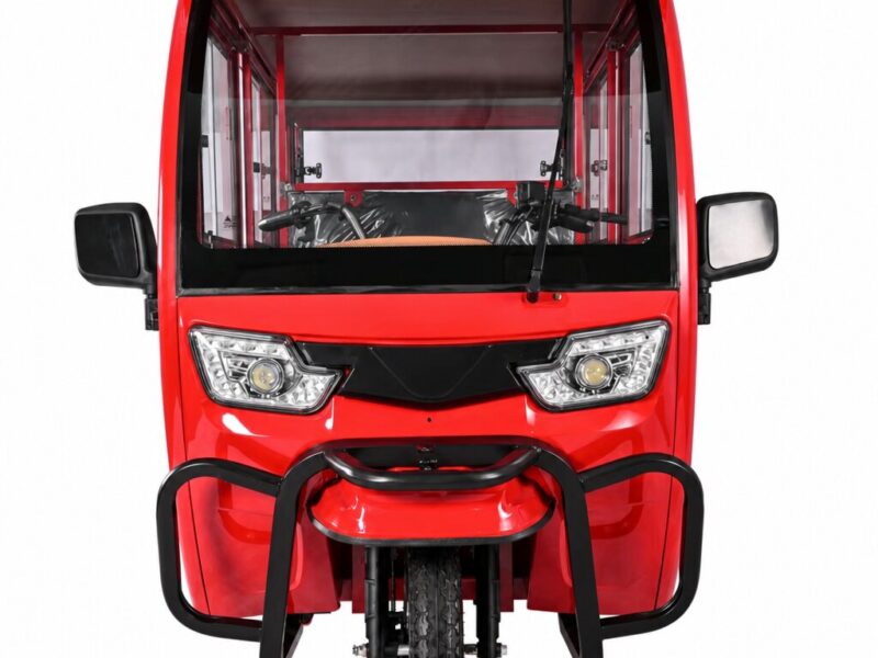 High Load Electric Tricycle with Fat Adult Use