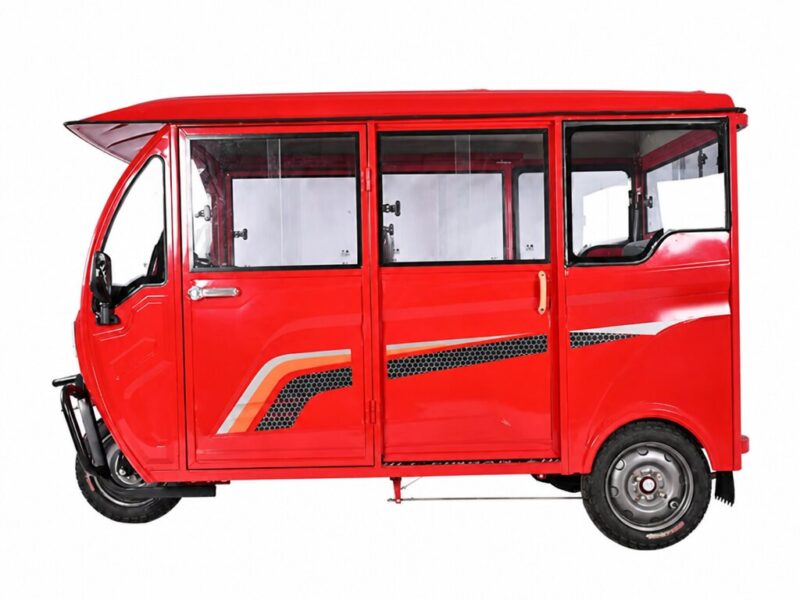 High Load Electric Tricycle with Fat Adult Use
