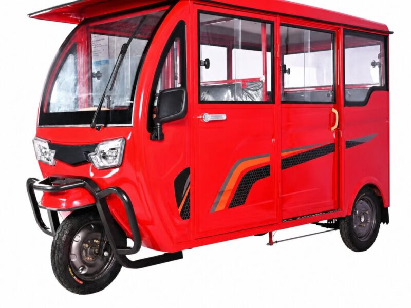 High Load Electric Tricycle with Fat Adult Use
