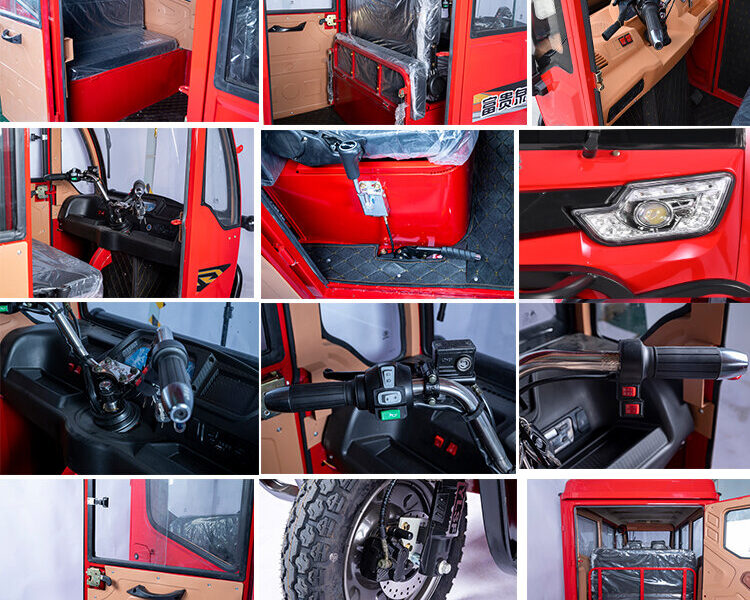 High Load Electric Tricycle with Fat Adult Use