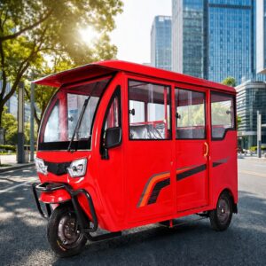 High Load Electric Tricycle with Fat Adult Use