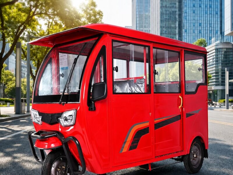 High Load Electric Tricycle with Fat Adult Use