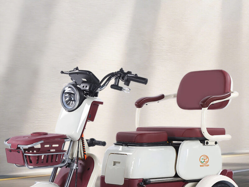 High Quality 3-Seat Electric Tricycle for Adults Single-Speed 30-50km/h Power Open LCD Display Electric Frame Furniture Smart