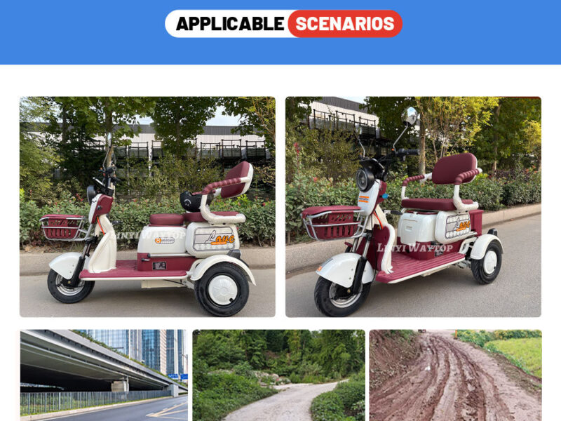High Quality 3-Seat Electric Tricycle for Adults Single-Speed 30-50km/h Power Open LCD Display Electric Frame Furniture Smart