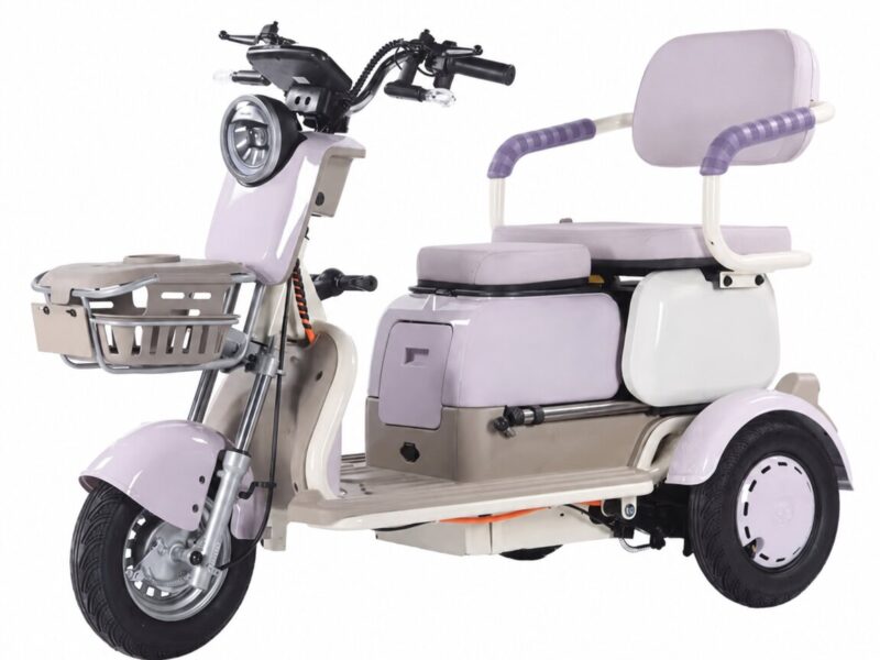High Quality 3-Seat Electric Tricycle for Adults Single-Speed 30-50km/h Power Open LCD Display Electric Frame Furniture Smart