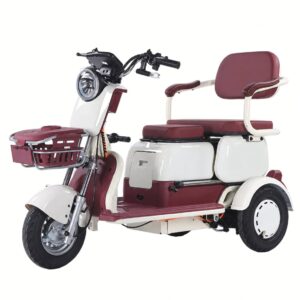 High Quality 3-Seat Electric Tricycle for Adults Single-Speed 30-50km/h Power Open LCD Display Electric Frame Furniture Smart