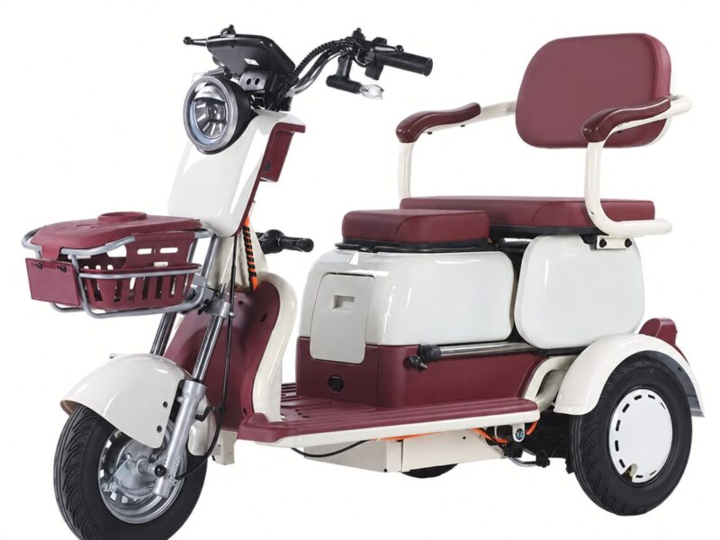 High Quality 3-Seat Electric Tricycle for Adults Single-Speed 30-50km/h Power Open LCD Display Electric Frame Furniture Smart