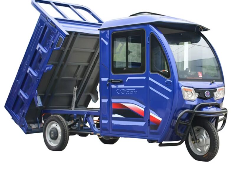 High Quality Gasoline Cargo Tricycle Van for Sale 2025 China Heavy Duty Closed Cabin Three Wheel Motorcycle
