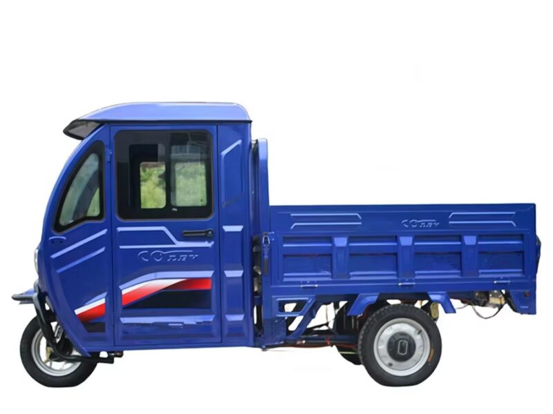 High Quality Gasoline Cargo Tricycle Van for Sale 2025 China Heavy Duty Closed Cabin Three Wheel Motorcycle