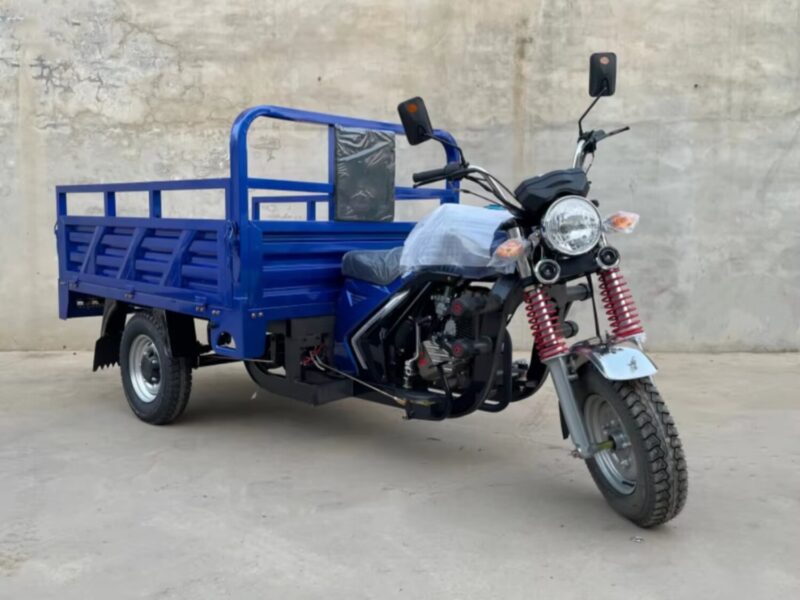 High Quality Gasoline Cargo Tricycle Van for Sale 2025 China Heavy Duty Closed Cabin Three Wheel Motorcycle