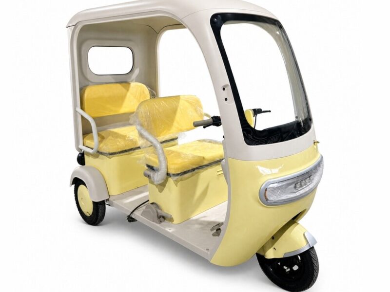 High Quality Three Wheeled Adult Electric Tricycle with Canopy for Commuting and Leisure Electric Tricycle