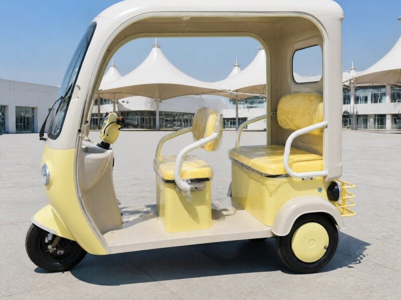 High Quality Three Wheeled Adult Electric Tricycle with Canopy for Commuting and Leisure Electric Tricycle