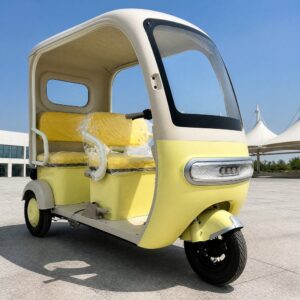 High Quality Three Wheeled Adult Electric Tricycle with Canopy for Commuting and Leisure Electric Tricycle