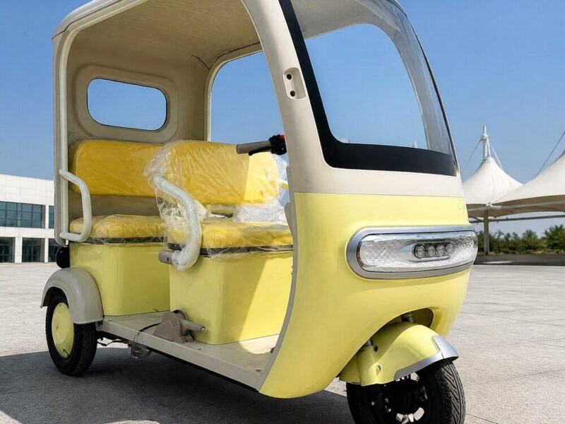 High Quality Three Wheeled Adult Electric Tricycle with Canopy for Commuting and Leisure Electric Tricycle