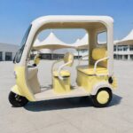 High Quality Three Wheeled Adult Electric Tricycle with Canopy for Commuting and Leisure Electric Tricycle - image 3