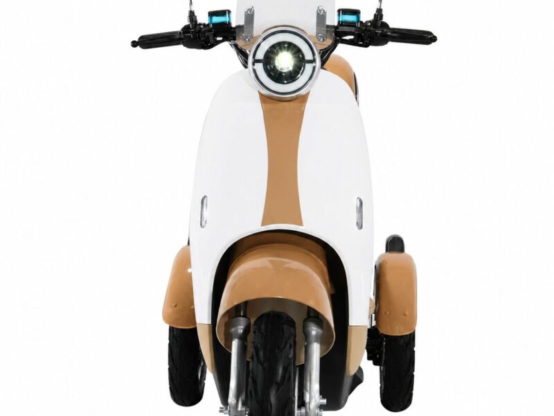 Hot Sale 60V 1000W Electric Tricycle for Adults Three-Wheel Electric Bike