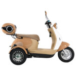 Hot Sale 60V 1000W Electric Tricycle for Adults Three-Wheel Electric Bike - image 2