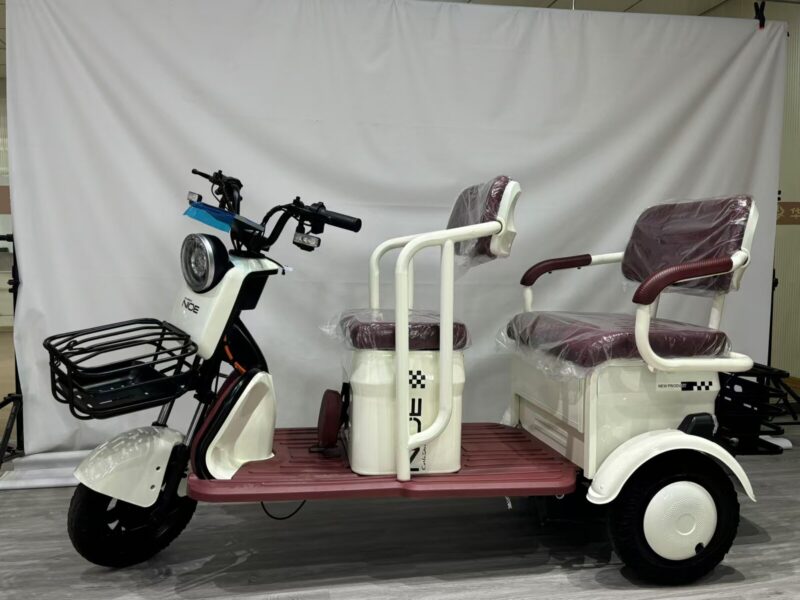 Hot Sale Cheap 3 Wheel Electric Trike for Family Use High Speed 60v20Ah 600W 800W 1000W Electric Tricycle Open Body for Adults